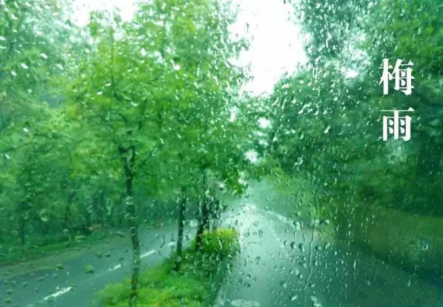 梅雨季節，如何解決配電箱回潮？給你支招